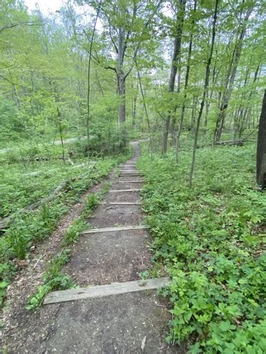 10 Best Hikes And Trails In Hueston Woods State Park Alltrails