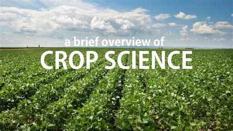 A Brief Overview On Crop Science