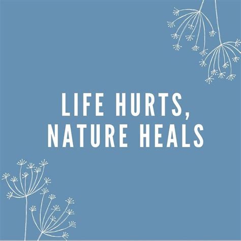 Nature Heals Life Hurts Natural Healing Health Problems