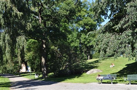 Kronobergsparken Stockholm