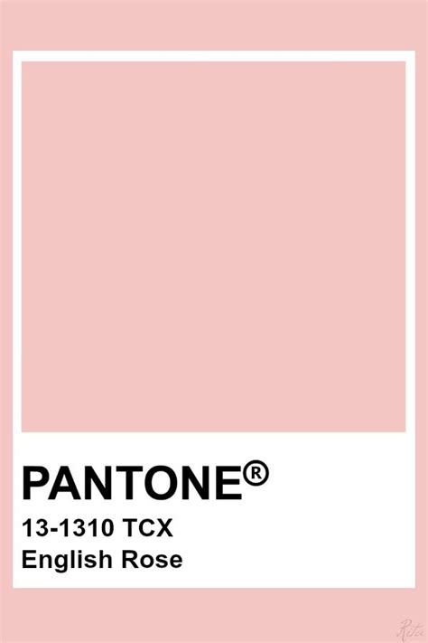 Pantone English Rose Pantone Colour Palettes Pantone Color Pantone