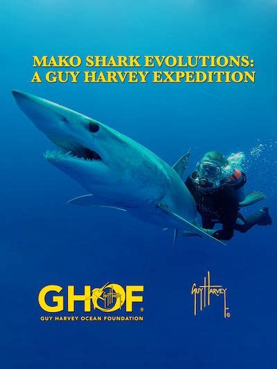 Shark Mako Makoshark Guyharvey Adventure One Of Our Coolest
