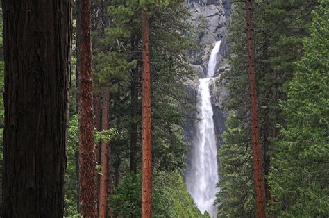 Lower Yosemite Falls Photograph By Lynn Bauer Fine Art America