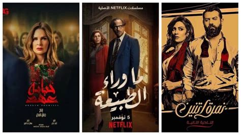 تحميل أفلام عربي جديدة للكمبيوتر أبرز وأشهر المواقع المجانية كمبيوترجي