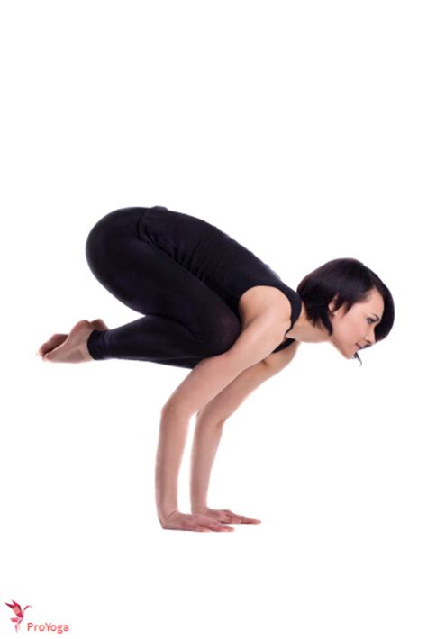 This is a very step by step tutorial for how to get into crow pose. kraanvogel / bakasana | ProYoga