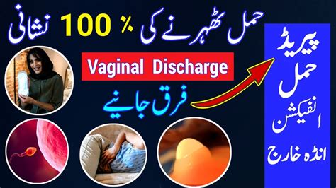 4 Types Of Discharge Discharge In Pregnancy Discharge Before Period