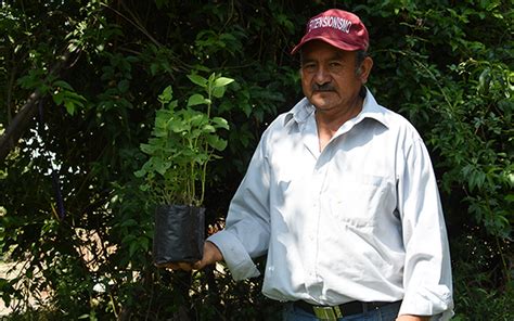 Mientras Tanto Veh Culo Mojado Planta Insulina Petrificar Realista Humedal