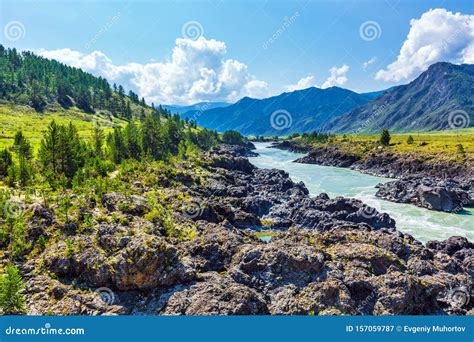 Katun River With Rapids Gorny Altai Siberia Russia Stock Image