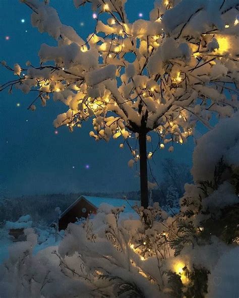Pin By Yanna Sk On Magic Christmas Winter Scenes Winter Wonder