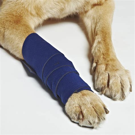 Healers Medical Leg Wraps With Gauze Pads Medium Petco Dog Leg