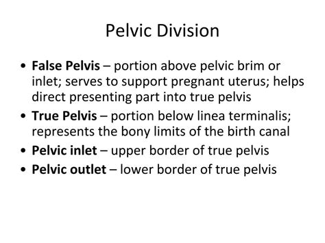 Ppt Reproductive Anatomy And Physiology Powerpoint Presentation Id