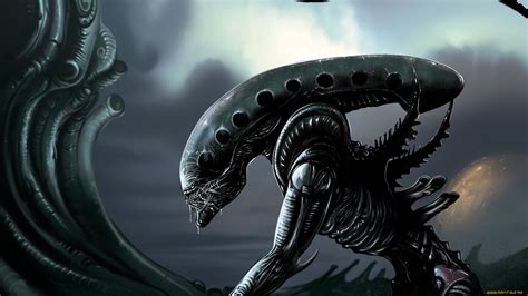 Xenomorph Alien 1919x1080