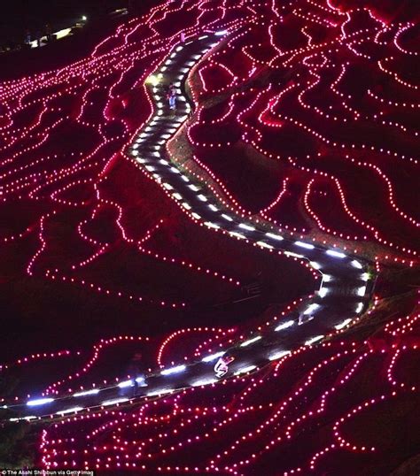 20000 Led Lights Illuminate Japanese Rice Paddies Pink Led Lights