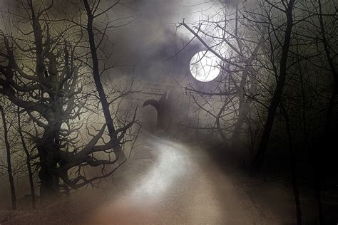 Misty Moonlit Night Free Stock Photo Public Domain Pictures