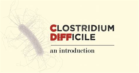 Clostridium Difficile An Introduction