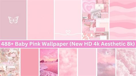 488 Baby Pink Wallpaper New Hd 4k Aesthetic 8k 2023 Px Bar