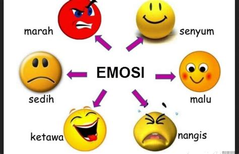 √ Emosi Pengertian Macam Karakteristik Bentuk Ekspresi Fungsi