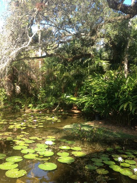 Book the perfect trip with 107 vero beach homes and apartments to rent from ₹ 1,39,362 per week. McKee botanical gardens Vero Beach Fl. Beautiful gardens ...