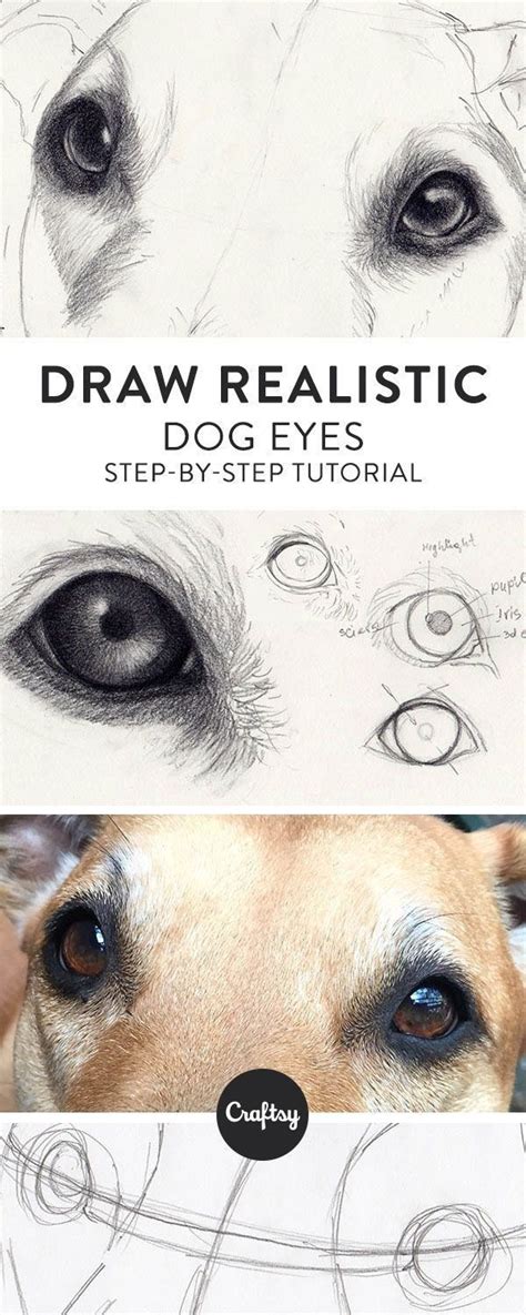 This tutorial shows the sketching and drawing steps from start to finish. Drawing Pencil Portraits - Drawing a realistic dog starts with the eyes! Learn about the ...