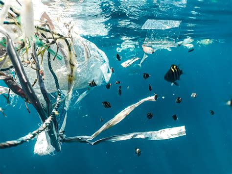 Science And Partnerships Key To Tackling Marine Plastic Pollution Mirage News