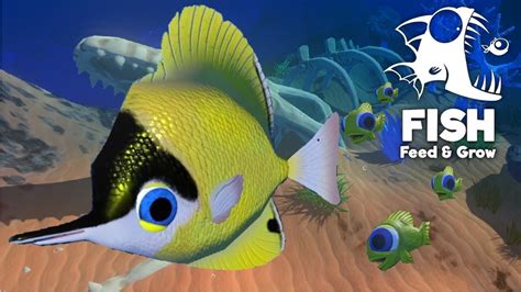 Making Baby Fish New Update Feed And Grow Fish Gameplay Youtube