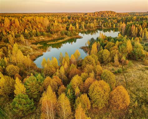 Download Wallpaper 1280x1024 Trees Forest Lake Autumn Landscape
