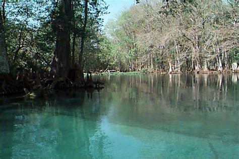 We camped at silver springs state park in a motorhome. Trail Maps Wiki / Florida - Marion County - Silver River ...