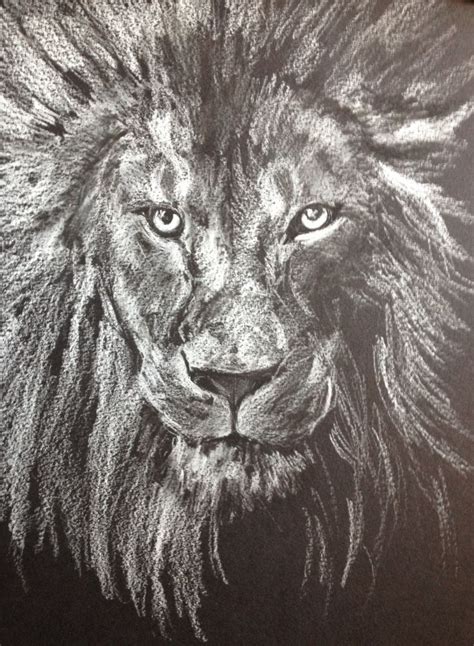 Dibujo cabeza de León con Lapiz pastel blanco sobre Canson ...