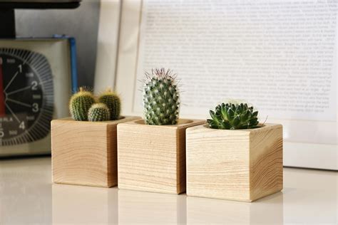 Solid Ash Wooden Cactus Pot Hand Made In Malta Product Design Cube