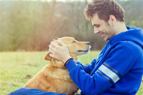Benefits Of Relationship Based Dog Training Maryvillealcoa Animal