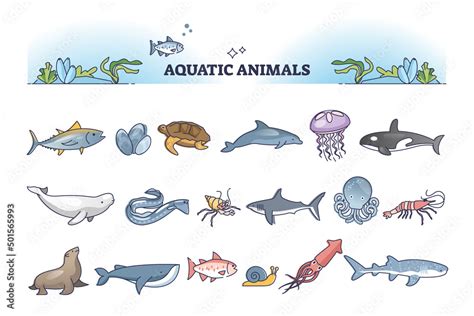 Aquatic Animals Collection With Sea And Ocean Wildlife Outline Items