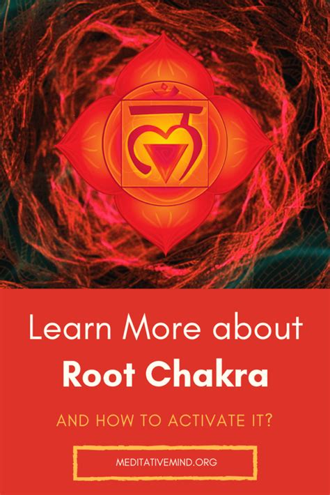 Four are in the upper body and are in charge of your mental properties. What is Root Chakra and How to Activate it? | Root chakra ...