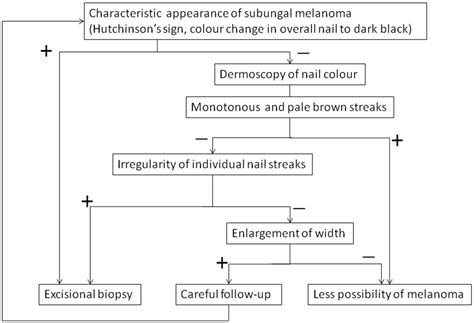 Proposal of abcd strategy in clinical practice based on case series. Management of Acral Lentiginous Melanoma | IntechOpen