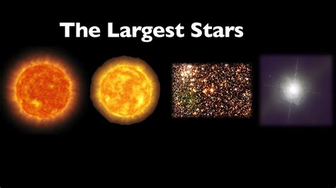 Size Comparsion Of Largest Stars Youtube