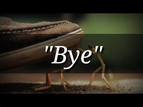 We try to keep our feelings inside no matter how far we are our friendship will always continue to cherish days come and go even if you are far we will be together in mind may you. Best Heart 💖 Touching Lines Shayari Video "Bye" - YouTube ...