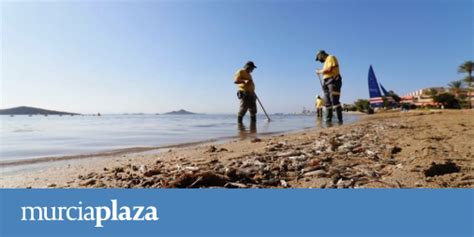 El Lamento Del Mar Menor Se Agrava 7 Playas Cerradas Y Una Semana Con