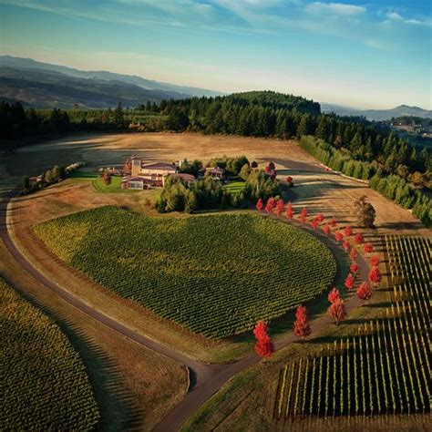 Best Oregon Wineries To Visit Oregon Wine Country Oregon Wineries