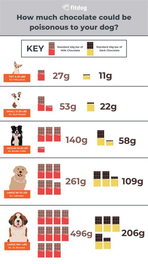 Why Is Chocolate Toxic To Dogs Fitdog Blog
