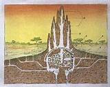 Pictures of Termite Mound Concrete