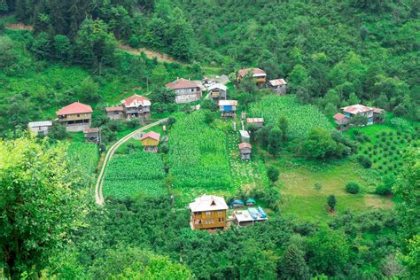 Artvin, rize ve düzce'de selden etkilenen esnafa 'acil destek kredisi' vereceğiz (3). Artvin Gezi Rehberi: Artvin'de Gezilecek Görülecek Yerler ...