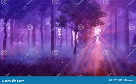 Magic Fairy Lights In Misty Night Forest At Sunset Stock Video Video