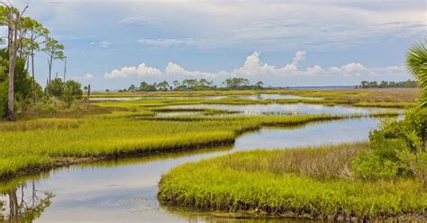 Florida Will Buy 20000 Acres Of Everglades Wetlands To Protect From