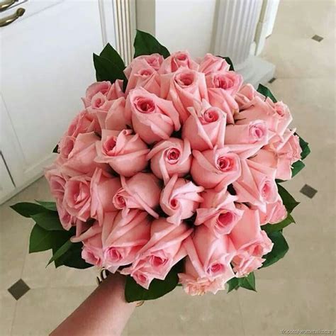 Pin By Maysa Safi On ورد وعشق وحب Floral Shop Rose Bouquet Flowers