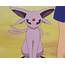 Sakuras Espeon  Pokémon Wiki Fandom Powered By Wikia