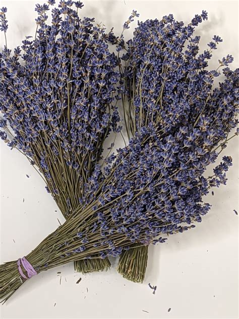 Folgate English Lavender Dried Bundles Etsy