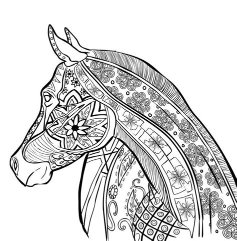 Mandala für erwachsene zum ausdrucken kostenlos igiocolandiacom. Pferde Ausmalbilder für Erwachsene kostenlos zum ...