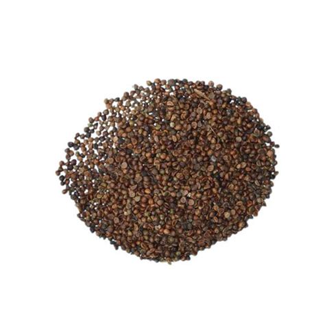 Check spelling or type a new query. Pa Shan Hu Infinity Growth Climbing Ornamental Plant ...