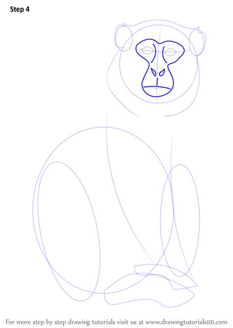 Swollen eyes typically occur with an eye infection, and is an early sign of vitamin a deficiency. Learn How to Draw a Blue Monkey (Wild Animals) Step by Step : Drawing Tutorials
