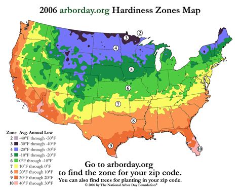 Us Bamboo Hardiness Zones Map And Chart