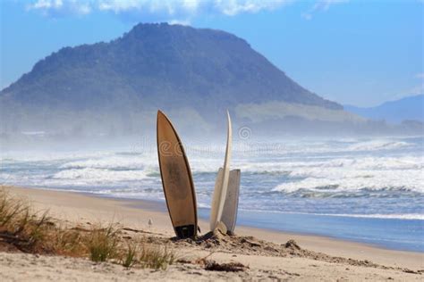 Surf Boards Sand Beach Stock Photo Image Of Zealand 91839242